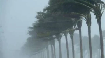 توقعات متقلبة لحالة الطقس في الإسكندرية مع هطول أمطار ونشاط قوي للرياح غداً